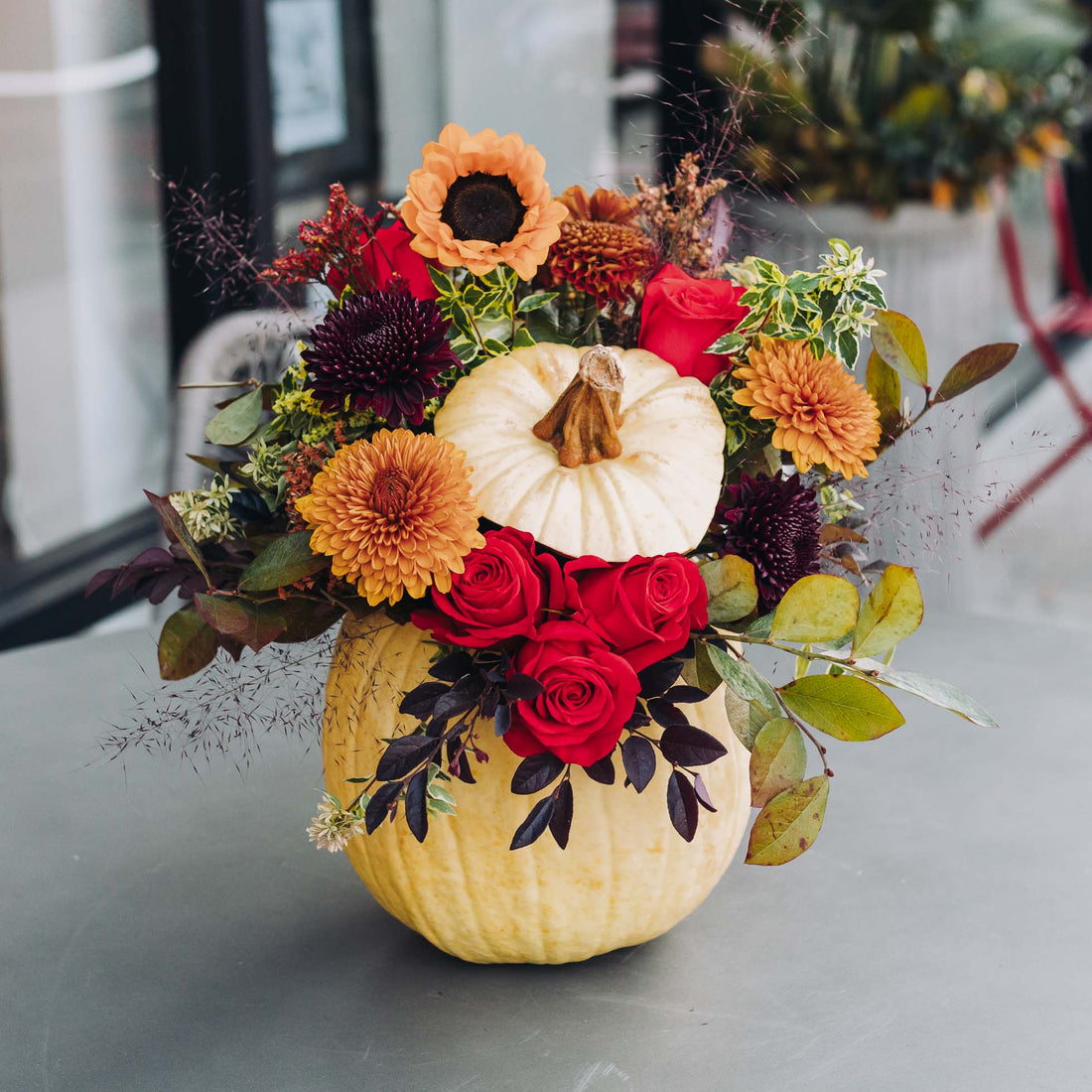 November '24 Newsletter