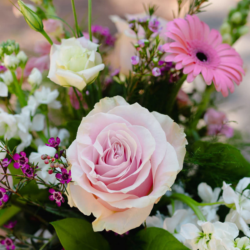 Bouquet of pink roses and other flowers with a blurred background