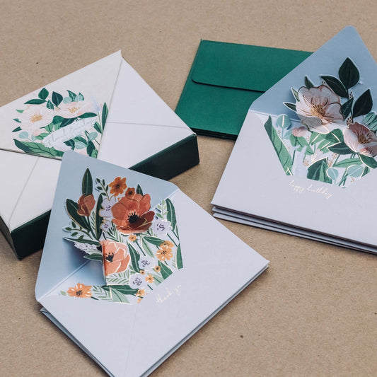 Pop-up Envelope Boxed Set