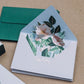 Pop-up Envelope Boxed Set