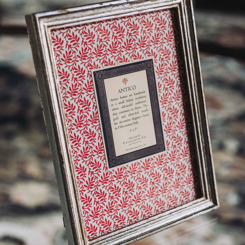 Cavallini Frame - Antico Silver