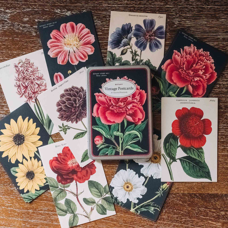 Cavallini Postcard Set