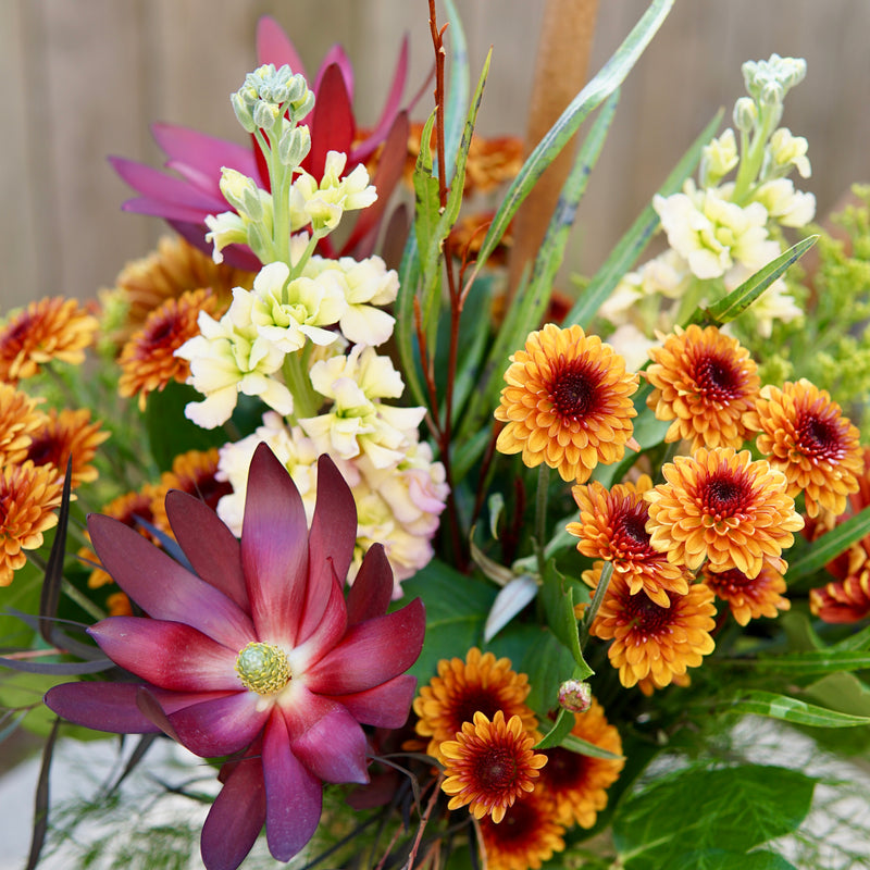 Bouquet of colorful flowers including purple, yellow, and orange with green leaves.