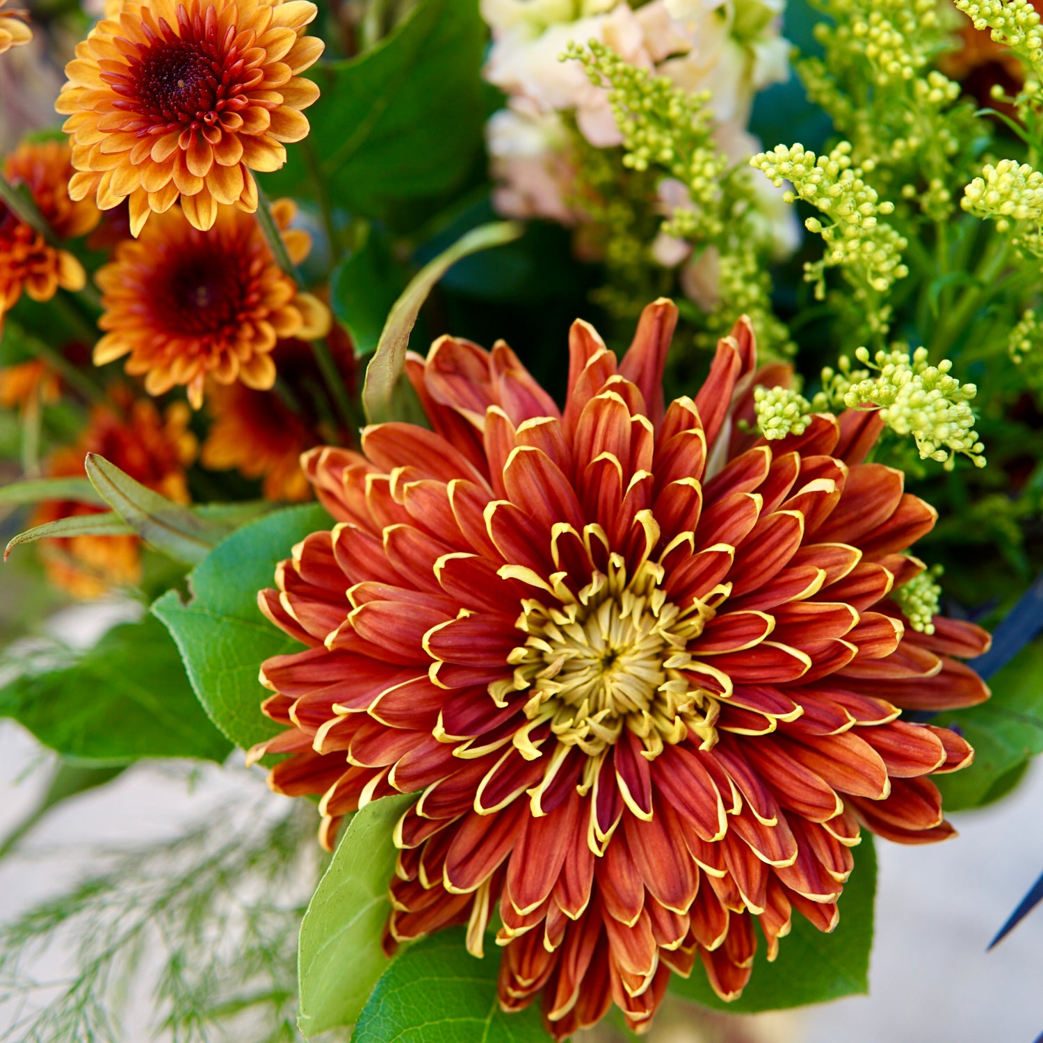 Close-up of a red and yellow flower with green leaves and other flowers in the background