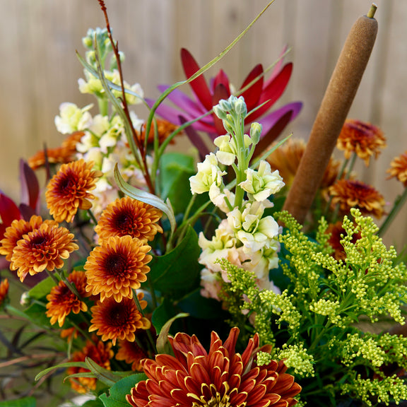 Colorful flower arrangement with orange, purple, and green flowers against a blurred background
