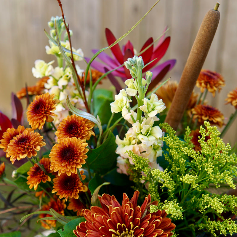 Colorful flower arrangement with orange, purple, and green flowers against a blurred background