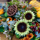 Bouquet of sunflowers, berries, and other flowers with a blurred background