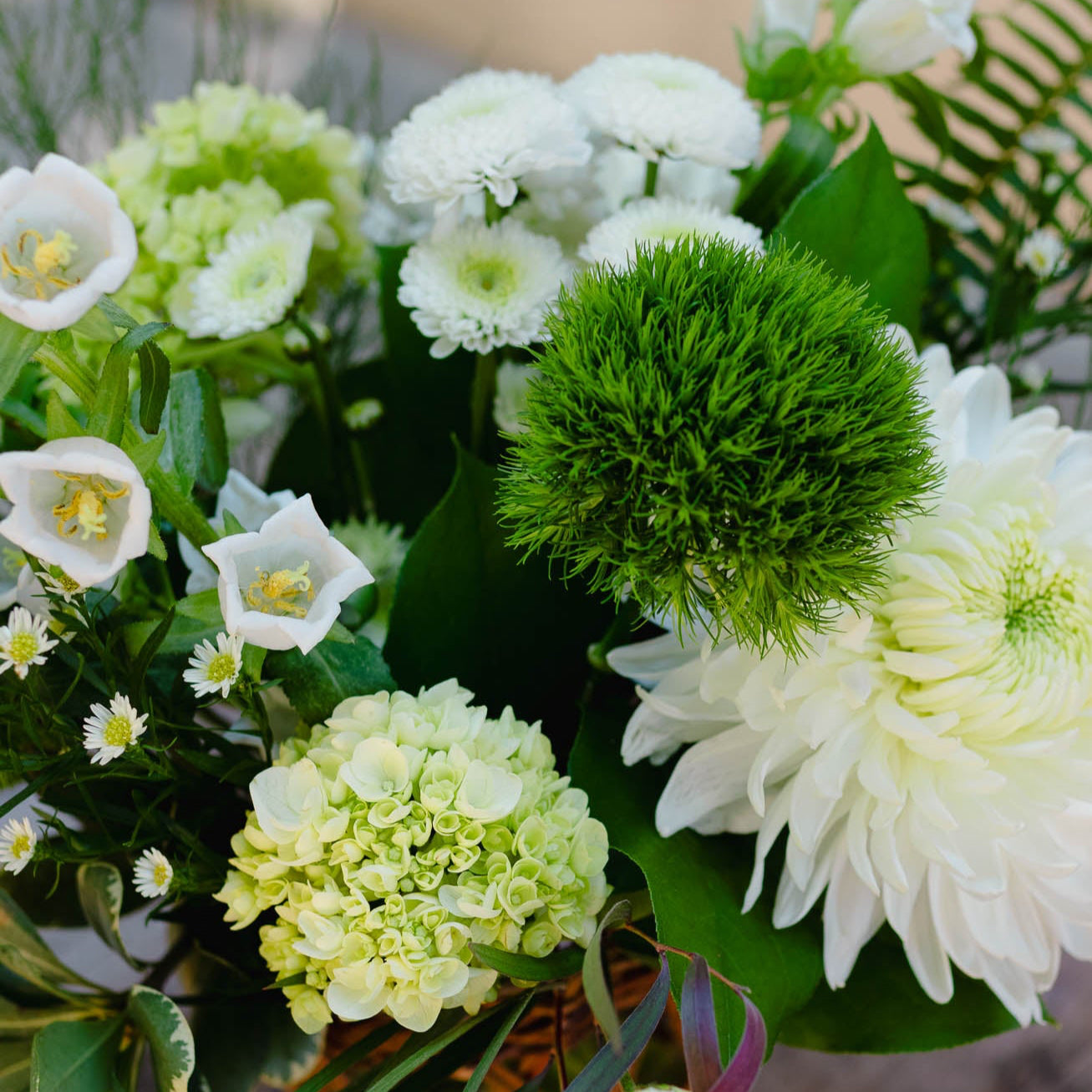 Bouquet of white and green flowers with a blurred background