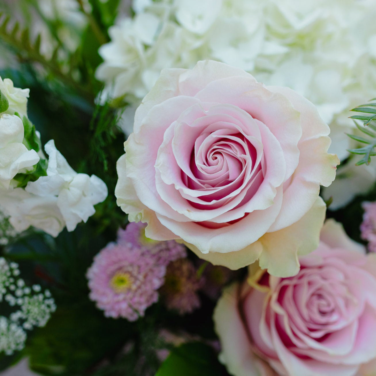 Bouquet of pink and white roses with greenery