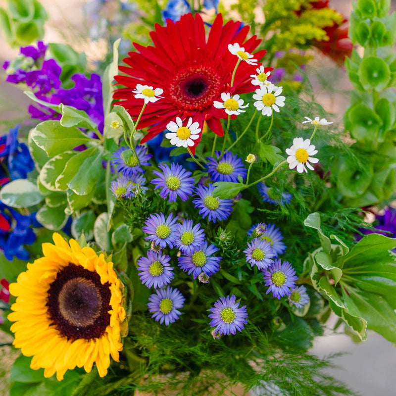 Colorful flower arrangement with sunflower, daisies, and other flowers in a vase.