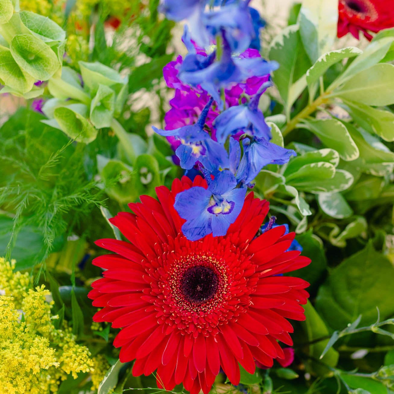 Bouquet of colorful flowers including red, blue, and yellow with green leaves.