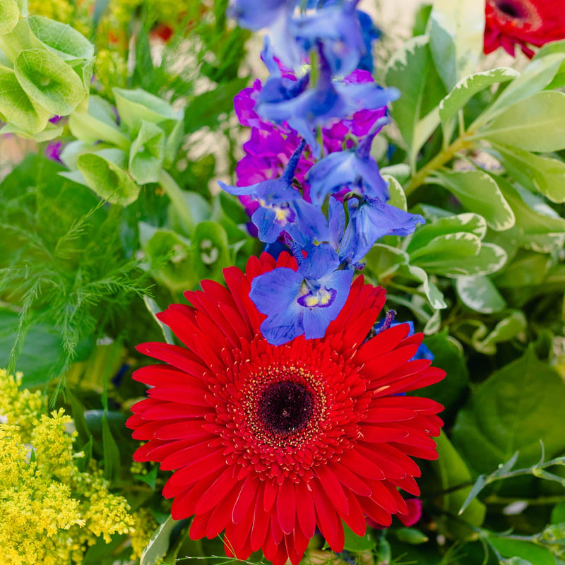 Bouquet of colorful flowers including red, blue, and yellow with green leaves.